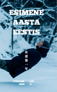 Esimene aasta Eestis